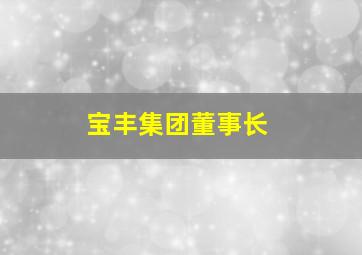 宝丰集团董事长