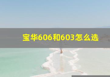 宝华606和603怎么选