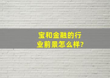 宝和金融的行业前景怎么样?