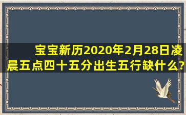 宝宝新历2020年2月28日凌晨五点四十五分出生五行缺什么?五行属...