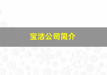 宝洁公司简介