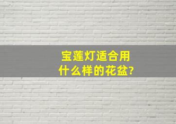 宝莲灯适合用什么样的花盆?