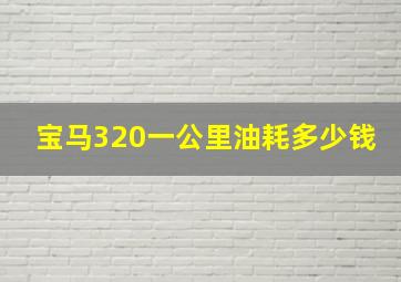 宝马320一公里油耗多少钱