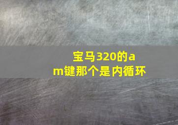 宝马320的am键那个是内循环(