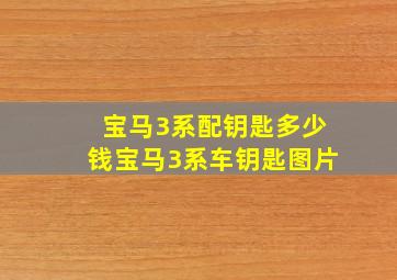 宝马3系配钥匙多少钱,宝马3系车钥匙图片