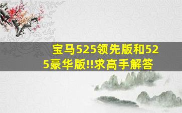 宝马525领先版和525豪华版!!求高手解答