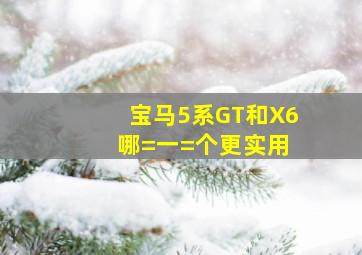 宝马5系GT和X6 哪=一=个更实用