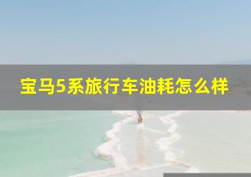 宝马5系旅行车油耗怎么样