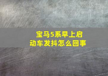 宝马5系早上启动车发抖怎么回事