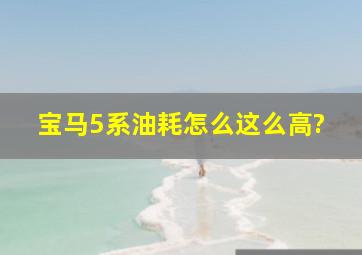 宝马5系油耗怎么这么高?