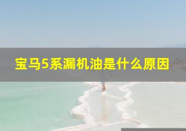 宝马5系漏机油是什么原因(