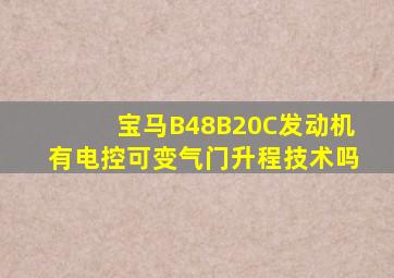 宝马B48B20C发动机有电控可变气门升程技术吗