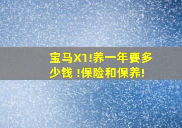 宝马X1!养一年要多少钱 !保险和保养!