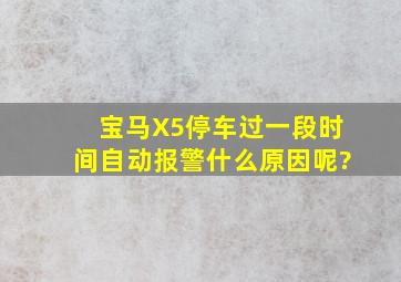 宝马X5停车过一段时间自动报警,什么原因呢?