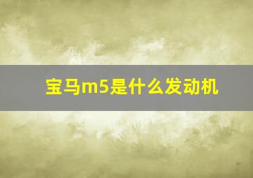 宝马m5是什么发动机