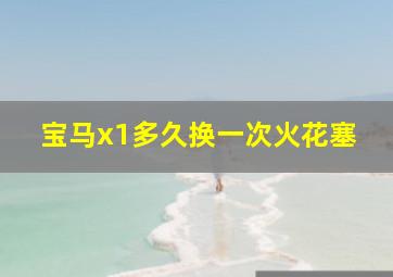 宝马x1多久换一次火花塞(