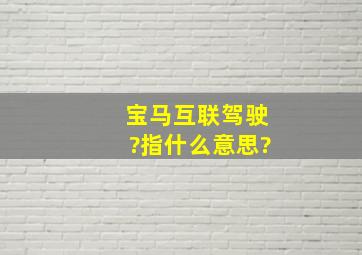 宝马互联驾驶?指什么意思?