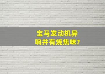 宝马发动机异响并有烧焦味?