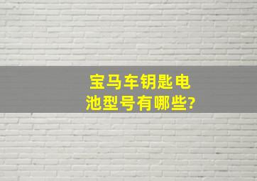 宝马车钥匙电池型号有哪些?