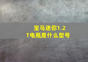 宝马迷你1.2T电瓶是什么型号