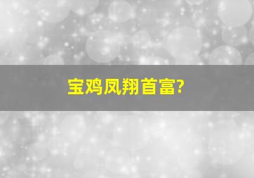 宝鸡凤翔首富?