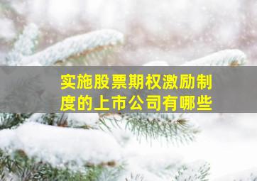 实施股票期权激励制度的上市公司有哪些