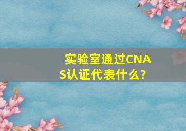 实验室通过CNAS认证代表什么?