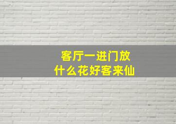 客厅一进门放什么花好客来仙(