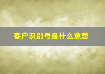 客户识别号是什么意思