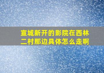 宣城新开的影院在西林二村那边具体怎么走啊