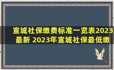 宣城社保缴费标准一览表2023最新 2023年宣城社保最低缴费基数及...