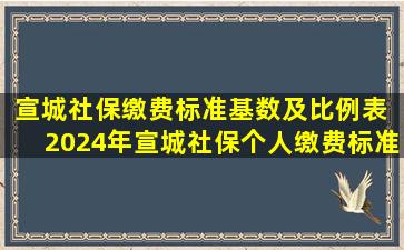 宣城社保缴费标准基数及比例表 2024年宣城社保个人缴费标准是多少...