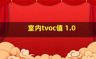 室内tvoc值 1.0