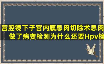 宫腔镜下子宫内膜息肉切除术息肉做了病变检测,为什么还要Hpv检测?