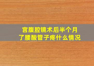 宫腹腔镜术后半个月了腰酸管子疼什么情况(