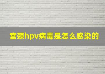 宫颈hpv病毒是怎么感染的