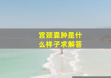 宫颈囊肿是什么样子求解答