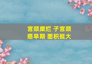 宫颈糜烂 子宫颈癌早期 面积挺大