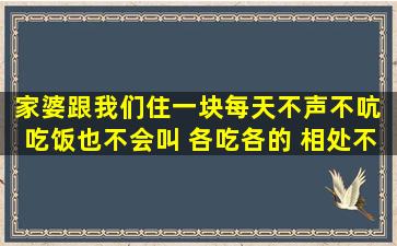 家婆跟我们住一块每天不声不吭 吃饭也不会叫 各吃各的 相处不来怎么...