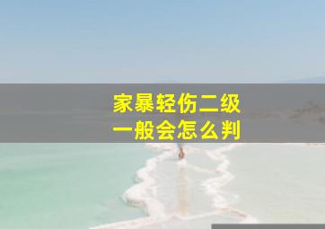 家暴轻伤二级一般会怎么判