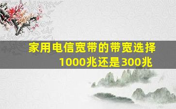 家用电信宽带的带宽,选择1000兆,还是300兆