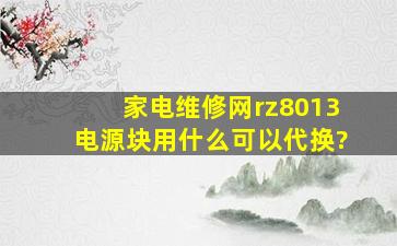 家电维修网rz8013电源块用什么可以代换?