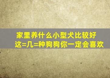 家里养什么小型犬比较好 这=几=种狗狗你一定会喜欢