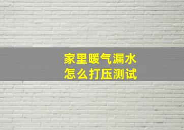 家里暖气漏水 怎么打压测试