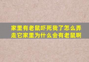 家里有老鼠,吓死我了,怎么弄走它。家里为什么会有老鼠啊