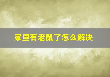 家里有老鼠了怎么解决