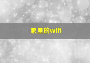 家里的wifi