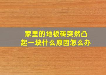 家里的地板砖突然凸起一块什么原因(((怎么办(((