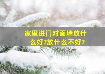 家里进门对面墙放什么好?放什么不好?