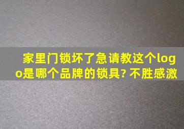 家里门锁坏了,急请教这个logo是哪个品牌的锁具? 不胜感激